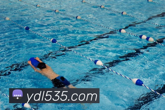 互动解说服务